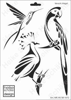 Schablone-Stencil A4 117-1072 Verschiedene Vögel